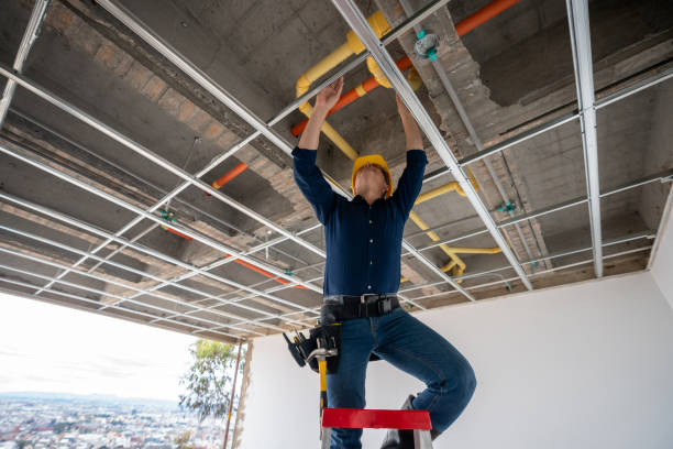 Best Sewer Line Repair  in Andusia, AL